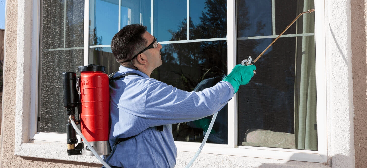 Fly Control Methods: How We Keep Flies Out